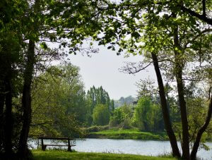 coin de peche dans l'yonne